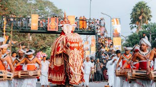 The Dewaduta Perahera in Kelaniya Rajamaha Viharaya  2023 Part I [upl. by Erica508]