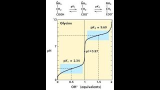 Amino Acid Titration Curve Part 1 [upl. by Ulberto]