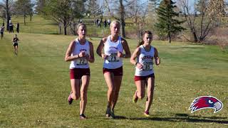 Viterbo University Cross Country [upl. by Enyahs]