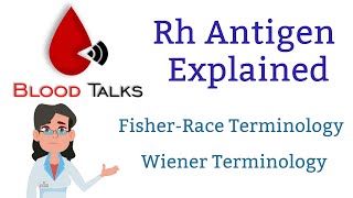 Rh antigen explained [upl. by Intisar567]