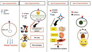 Hypersensitivity types in 4 minutes [upl. by Ykcor]