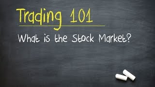 Trading 101 What is the Stock Market [upl. by Einad206]