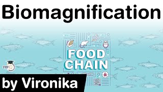 What is Biomagnification Difference in Biomagnification Bioaccumulation amp Bioconcentration UPSC [upl. by Anayrb]