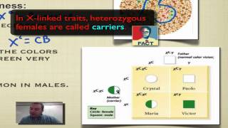 Dihybrid Cross Dihybrid Punnett Square  Made Easy [upl. by Engel]