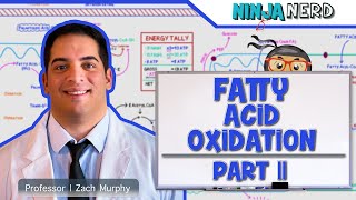 Metabolism  Fatty Acid Oxidation Part 2 [upl. by Yarb]