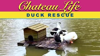 Chateau Life 🏰 Ep 3 DUCK RESCUE [upl. by Zilada862]