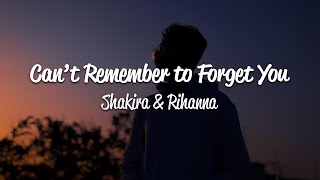 Shakira  Cant Remember to Forget You Lyrics ft Rihanna [upl. by Ocsirf]