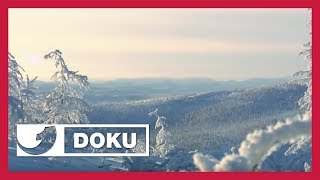 So ist das Leben am kältesten Ort der Welt  Doku [upl. by Ecnarual]