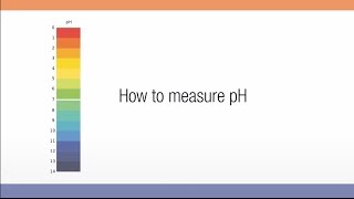 How to measure pH [upl. by Nosned407]