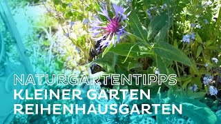 Naturgartentipps für kleine Gärten von Markus Burkhart  Salzburg AG TV [upl. by Annia]