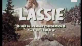 Lassie [upl. by Schlicher]