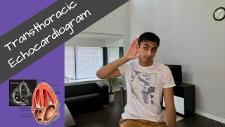 Intro to Transthoracic Echocardiogram [upl. by Gyasi]