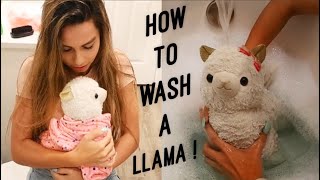 Giving My CRAZY Lil Llama A BATH [upl. by Anett]