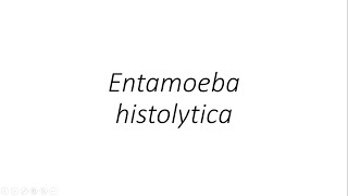 Entamoeba histolytica  Parasitology [upl. by Anoik]