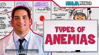 Punnett Squares and Mendelian Genetics Part 1 [upl. by Atlas816]