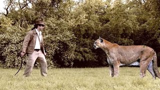 Man vs Mountain Lion  Unbelievable Fight [upl. by Hsoj]