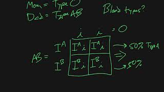 Punnett Squares  Basic Introduction [upl. by Enajharas]