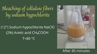 Bleaching of cellulose fibers by sodium hypochlorite [upl. by Vladamar]