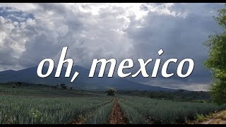 Jeremy Zucker  oh mexico  LYRICS [upl. by Durkin]