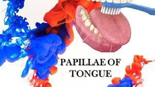 12 Effective Remedies For Tongue Problems That Work  Healthspectra [upl. by Sirk]