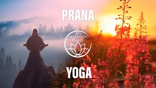 Prana Yoga  Pranayama Breathing Exercises Music [upl. by Eynttirb426]