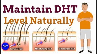 What Is DHT And How To Reduce It  Natural DHT Blockers  Hair Loss Treatment In HIndi [upl. by Melise]