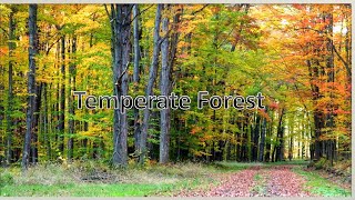 Temperate Forest Deciduous Forest Temperate Biome Facts [upl. by Ailec]