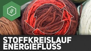 Stoffkreisläufe und Energiefluss  Ökologie [upl. by Adriena]