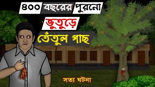 Bhuter Golpo  400 Year Old Spooky Tamarind Tree  Real Ghost Stories [upl. by Godderd]