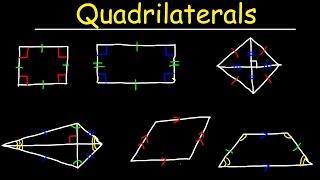 Quadrilaterals  Geometry [upl. by Tsenre]