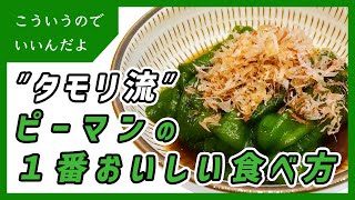 タモリ流ピーマンの１番おいしい料理｜作り方｜レシピ｜無限ピーマン [upl. by Dona]