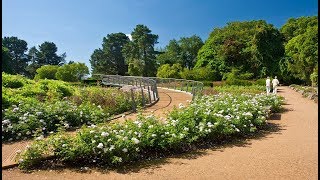 Visit Windsor Great Park [upl. by Dolf260]