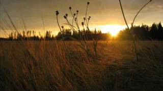 Emi Fujita  Fields Of Gold lyrics [upl. by Wahl]