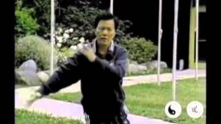 Taoist Tai Chi  Master Moy in Action [upl. by Lebasy]