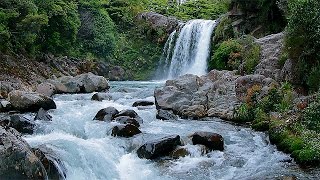 Entspannungs  Wasserfall HD Naturgeräusche [upl. by Ahtamas]