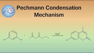 Pechmann Condensation Mechanism Coumarin Synthesis  Organic Chemistry [upl. by Airalednac]