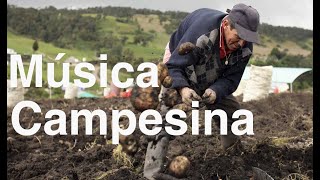 Musica campesina mix  Los serranitos 1 [upl. by Grishilda]