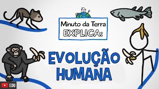 Minuto da Terra Explica A Evolução Humana [upl. by Auqinet847]