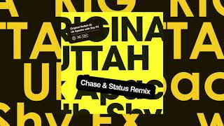 UK Apache with Shy FX Original Nuttah 25 Chase amp Status Remix Feat Irah [upl. by Mathilda]