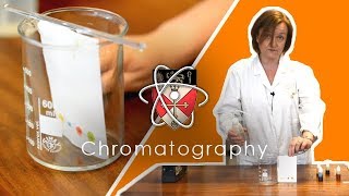 Chromatography  GCSE Science Required Practical [upl. by Geoffry]