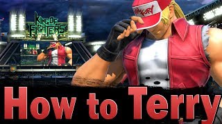 Smash Ultimate How to Terry [upl. by Luben986]