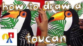 How To Draw A Realistic Toucan [upl. by Marlowe]