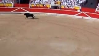 Bullfight San Fermín Pamplona Navarre Spain Europe [upl. by Burger]