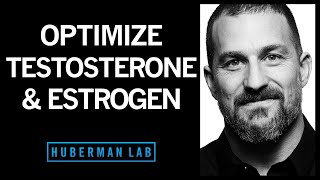 The Science of How to Optimize Testosterone amp Estrogen [upl. by Sidnak]