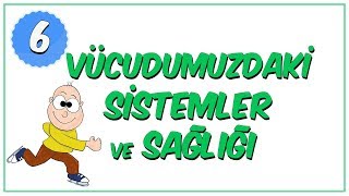 6Sınıf Fen Bilimleri  Vücudumuzdaki Sistemler ve Sağlığı [upl. by Eicul850]