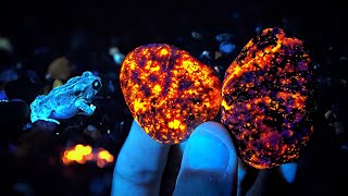 Incredible GLOWING Yooperlite Rocks BLUE Crystals Garnets and MORE Found in Michigan [upl. by Holzman]