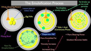 The Emulsification Process [upl. by Rubbico206]