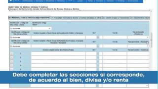 Cómo presentar la Declaración Jurada de Bienes Divisas y Rentas [upl. by Shivers608]