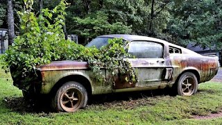 25 CARROS ABANDONADOS QUE VOCÊ NÃO VAI ACREDITAR [upl. by Rayna175]