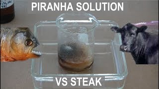 Piranha Solution vs Steak  ElementalMaker [upl. by Akeinahs459]